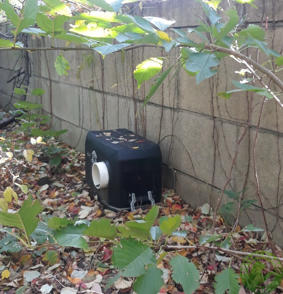 Single 70 qt at a colony in the Bronx